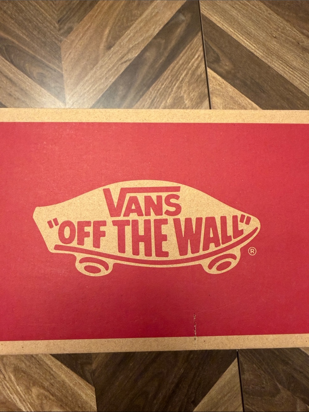 Vans Slip-On Sneakers in Black and White